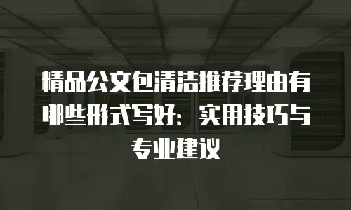精品公文包清洁推荐理由有哪些形式写好：实用技巧与专业建议