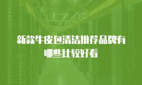 新款牛皮包清洁推荐品牌有哪些比较好看