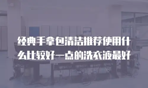 经典手拿包清洁推荐使用什么比较好一点的洗衣液最好
