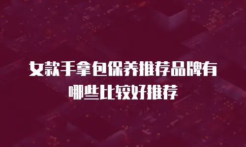 女款手拿包保养推荐品牌有哪些比较好推荐