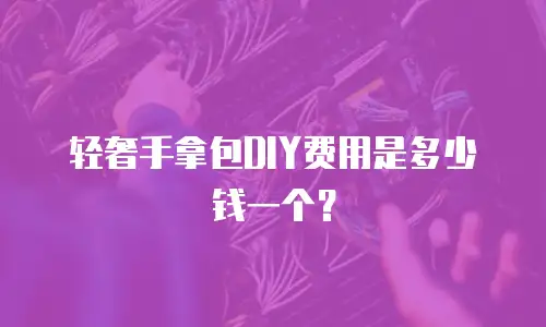 轻奢手拿包DIY费用是多少钱一个？