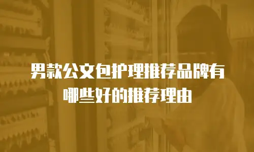 男款公文包护理推荐品牌有哪些好的推荐理由