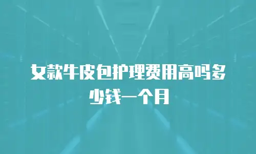 女款牛皮包护理费用高吗多少钱一个月