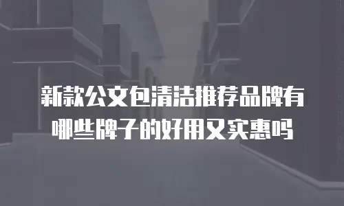 新款公文包清洁推荐品牌有哪些牌子的好用又实惠吗