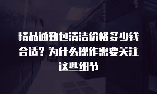 精品通勤包清洁价格多少钱合适？为什么操作需要关注这些细节