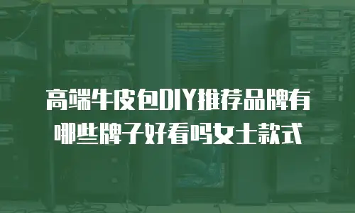 高端牛皮包DIY推荐品牌有哪些牌子好看吗女士款式