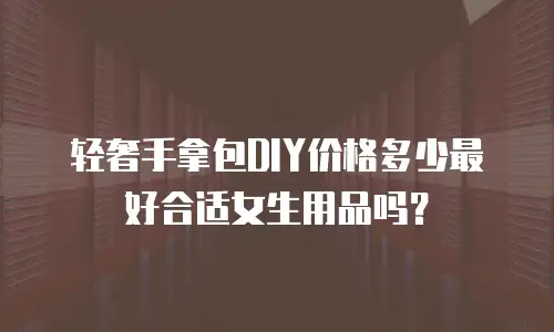轻奢手拿包DIY价格多少最好合适女生用品吗？