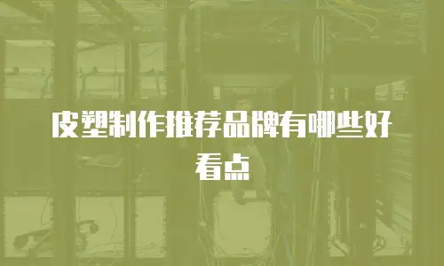 皮塑制作推荐品牌有哪些好看点