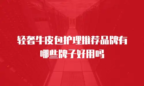 轻奢牛皮包护理推荐品牌有哪些牌子好用吗