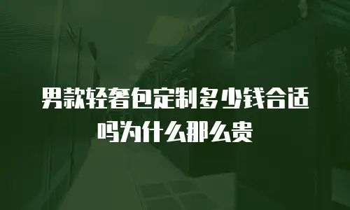 男款轻奢包定制多少钱合适吗为什么那么贵