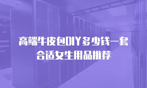 高端牛皮包DIY多少钱一套合适女生用品推荐