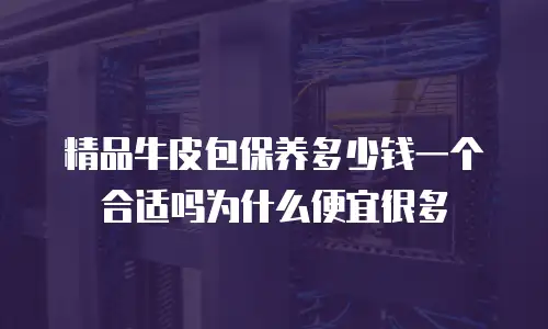 精品牛皮包保养多少钱一个合适吗为什么便宜很多