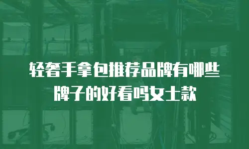 轻奢手拿包推荐品牌有哪些牌子的好看吗女士款