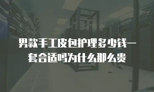 男款手工皮包护理多少钱一套合适吗为什么那么贵