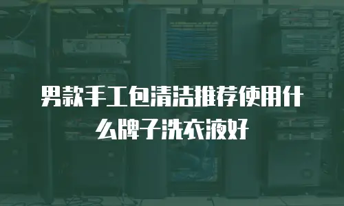男款手工包清洁推荐使用什么牌子洗衣液好