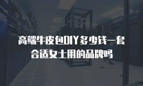 高端牛皮包DIY多少钱一套合适女士用的品牌吗
