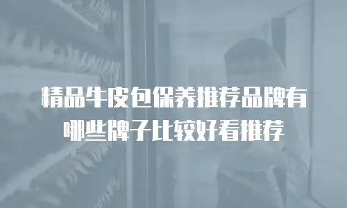 精品牛皮包保养推荐品牌有哪些牌子比较好看推荐
