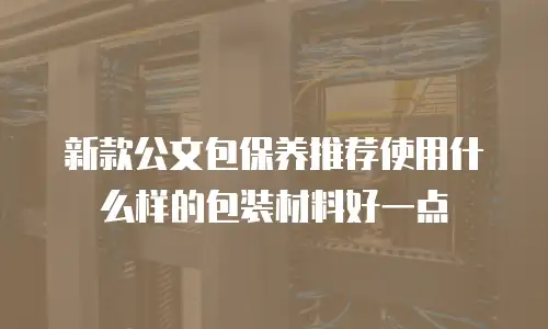 新款公文包保养推荐使用什么样的包装材料好一点
