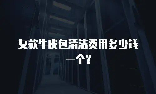 女款牛皮包清洁费用多少钱一个？