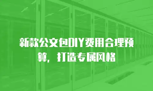 新款公文包DIY费用合理预算，打造专属风格