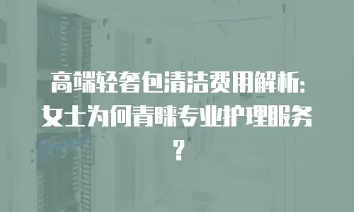 高端轻奢包清洁费用解析：女士为何青睐专业护理服务？