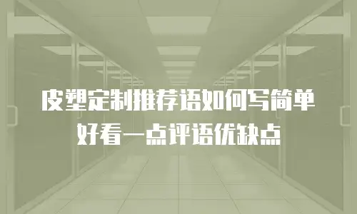 皮塑定制推荐语如何写简单好看一点评语优缺点