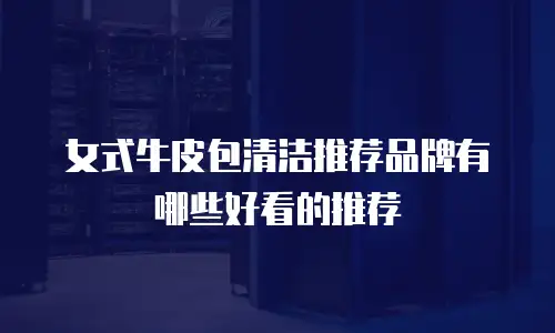 女式牛皮包清洁推荐品牌有哪些好看的推荐