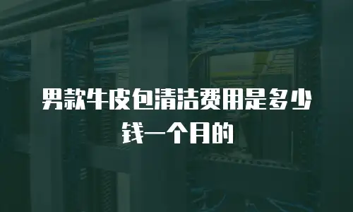 男款牛皮包清洁费用是多少钱一个月的