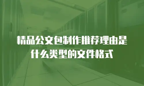 精品公文包制作推荐理由是什么类型的文件格式