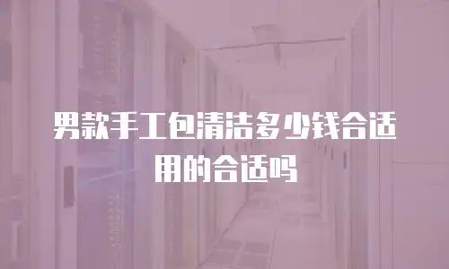 男款手工包清洁多少钱合适用的合适吗
