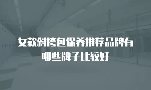 女款斜挎包保养推荐品牌有哪些牌子比较好