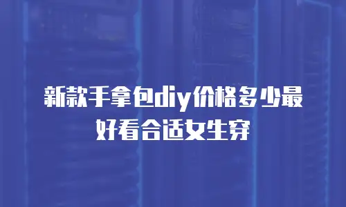 新款手拿包diy价格多少最好看合适女生穿