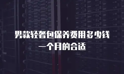 男款轻奢包保养费用多少钱一个月的合适