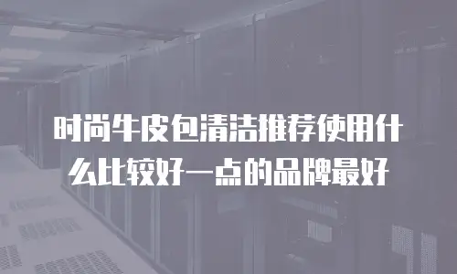 时尚牛皮包清洁推荐使用什么比较好一点的品牌最好
