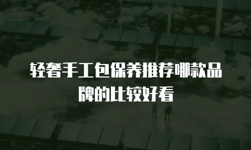 轻奢手工包保养推荐哪款品牌的比较好看