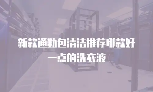新款通勤包清洁推荐哪款好一点的洗衣液