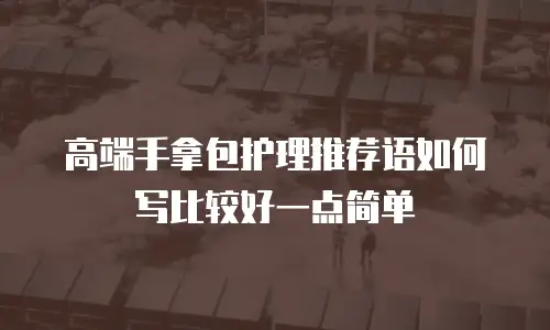 高端手拿包护理推荐语如何写比较好一点简单