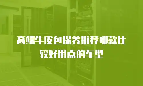 高端牛皮包保养推荐哪款比较好用点的车型