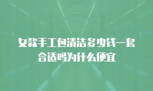 女款手工包清洁多少钱一套合适吗为什么便宜