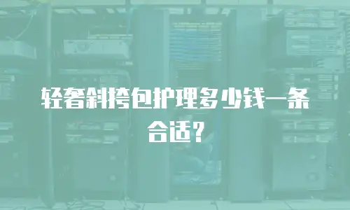 轻奢斜挎包护理多少钱一条合适？