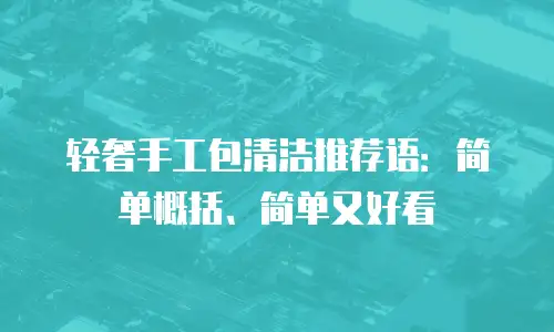 轻奢手工包清洁推荐语：简单概括、简单又好看