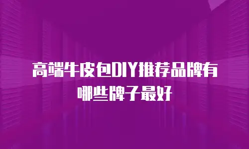 高端牛皮包DIY推荐品牌有哪些牌子最好