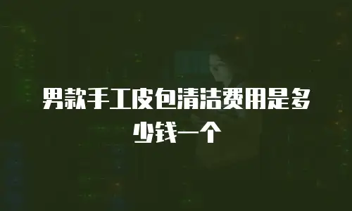 男款手工皮包清洁费用是多少钱一个