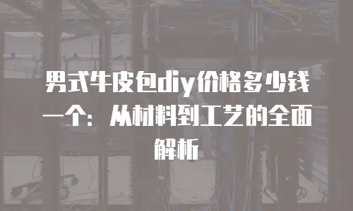 男式牛皮包diy价格多少钱一个：从材料到工艺的全面解析