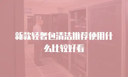 新款轻奢包清洁推荐使用什么比较好看