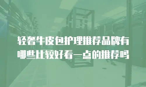 轻奢牛皮包护理推荐品牌有哪些比较好看一点的推荐吗