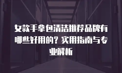 女款手拿包清洁推荐品牌有哪些好用的？实用指南与专业解析