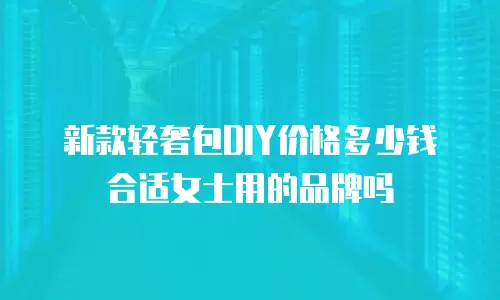 新款轻奢包DIY价格多少钱合适女士用的品牌吗