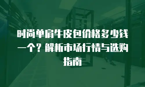 时尚单肩牛皮包价格多少钱一个？解析市场行情与选购指南