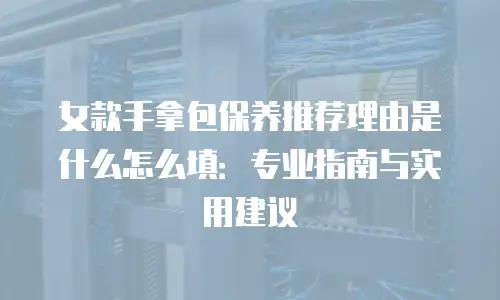 女款手拿包保养推荐理由是什么怎么填：专业指南与实用建议